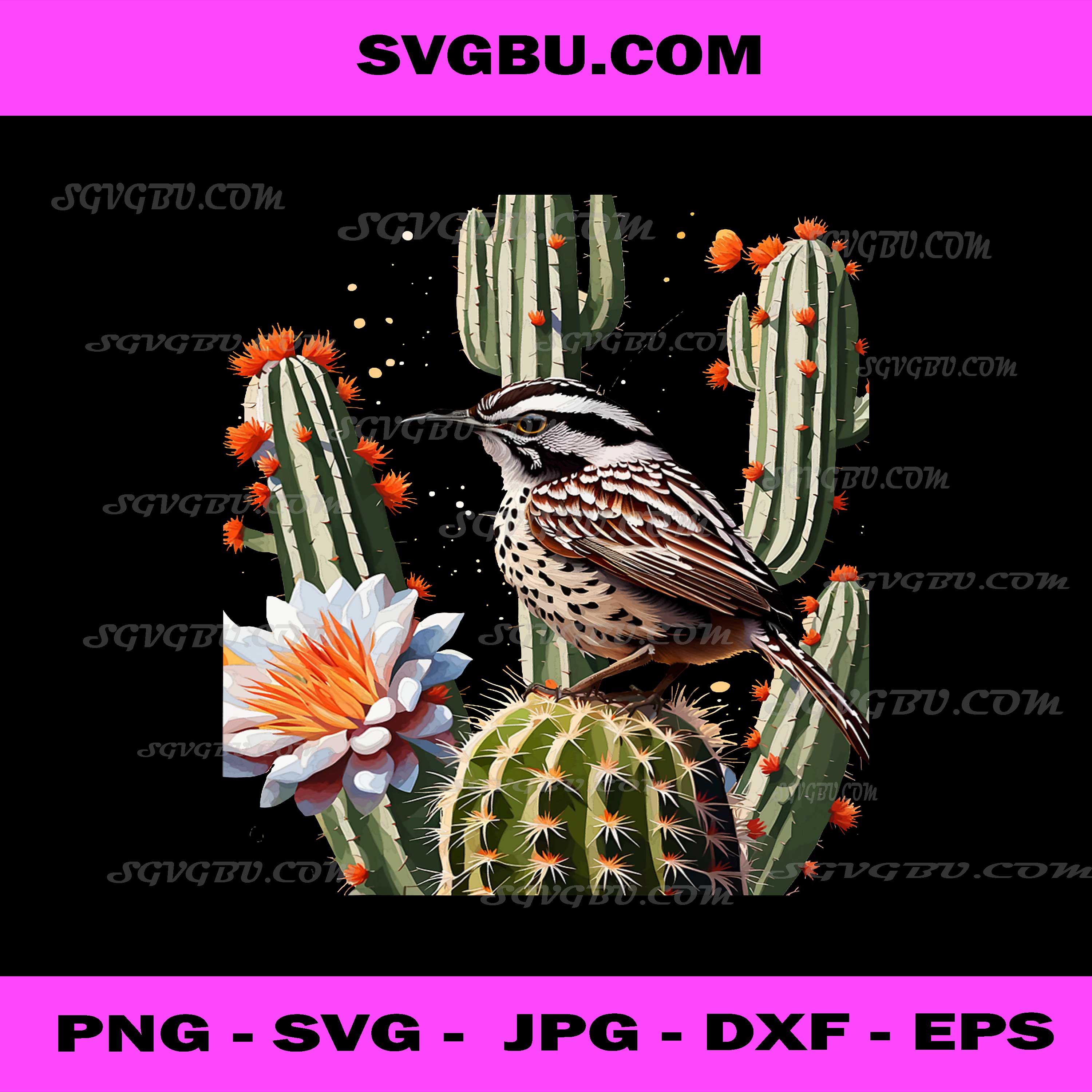 Arizona Cactus, Wren Surrounded By Saguaro Cactus Blossom PNG