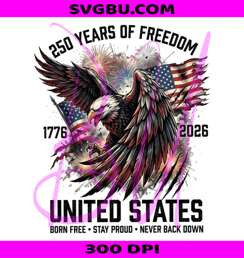 250 Years Of Freedom United States PNG, Vintage Bald Eagle PNG