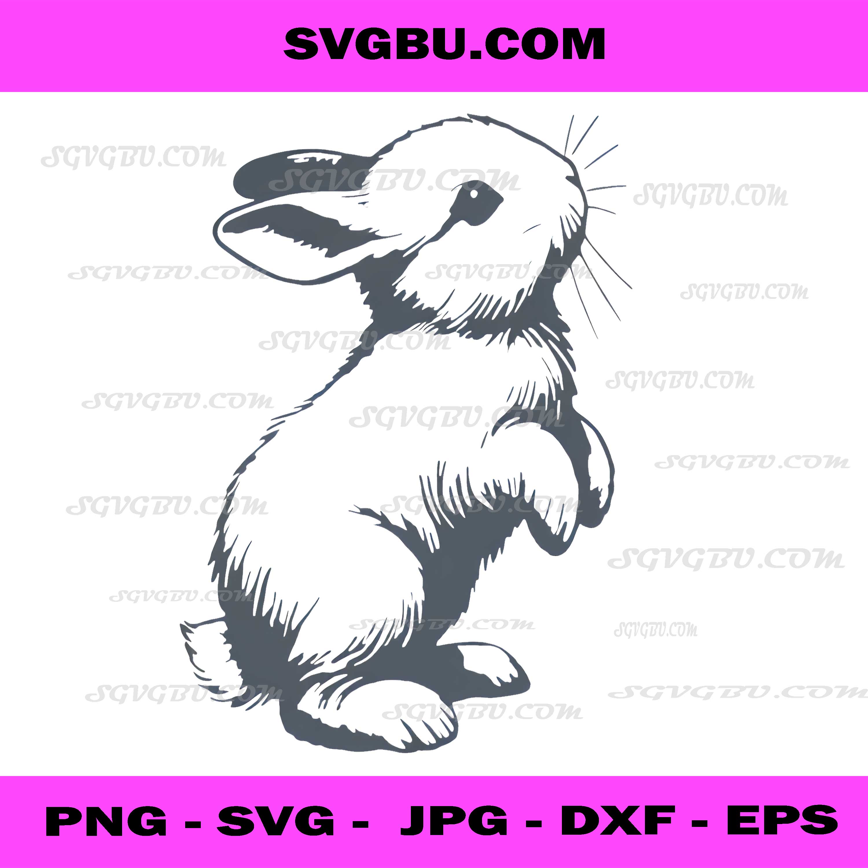 Standing Rabbit PNG, Realistic Bunny Animal Silhouette PNG