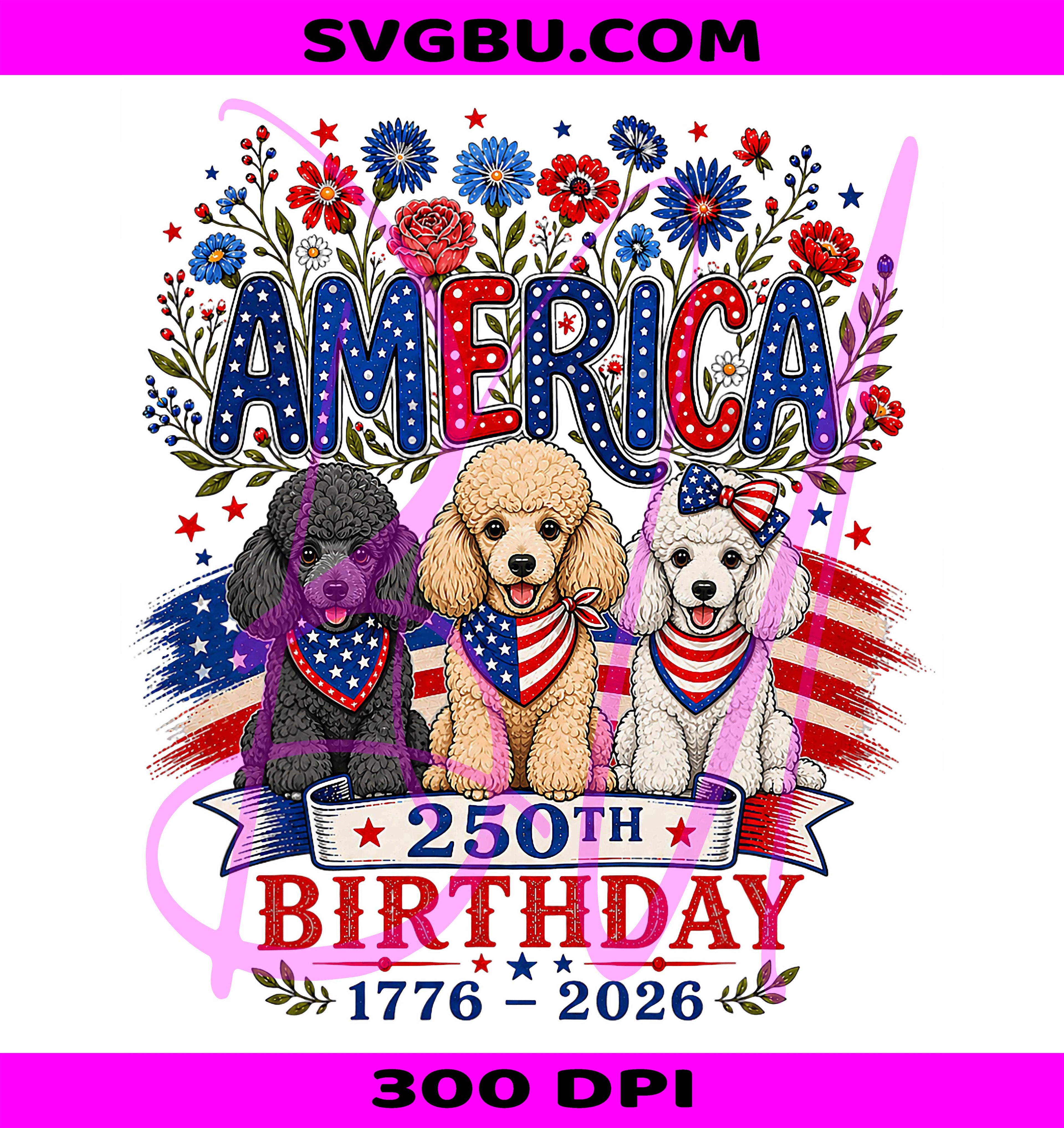 4th Of July Poodle PNG, Patriotic Poodle PNG, 250 Years USA PNG