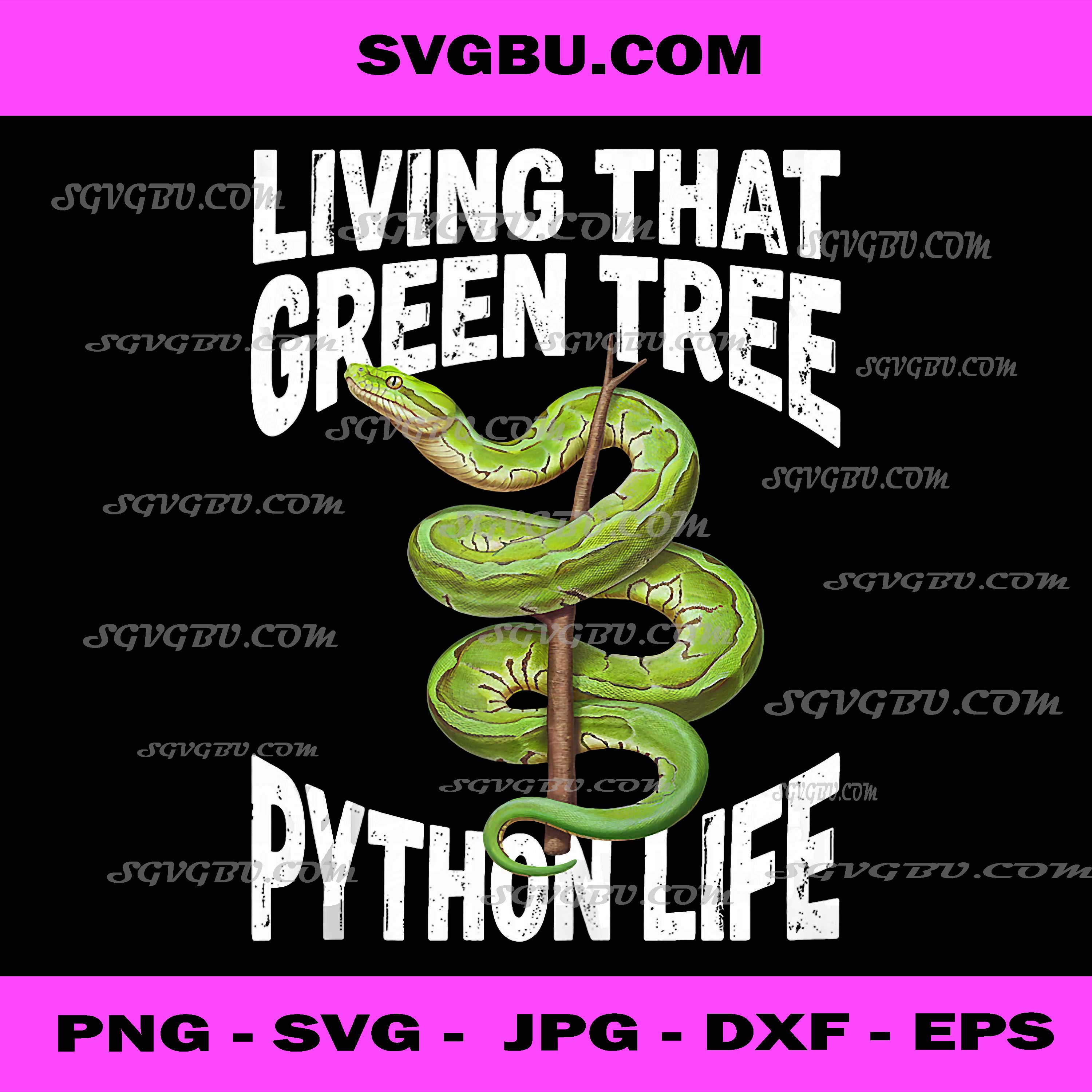 Green Tree Python Owner Reptiles Snake Living PNG, Snake Lover PNG