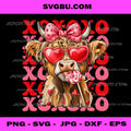 Valentine XOXO Highland Cow Cute Coquette Bow Western PNG