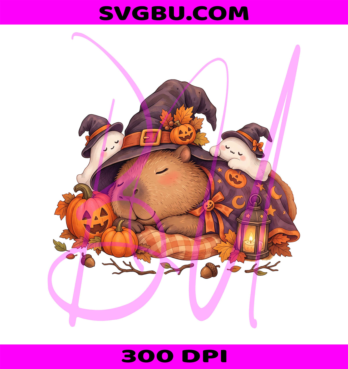 Halloween Capybara PNG, Witch Capybara PNG, Capybara PNG