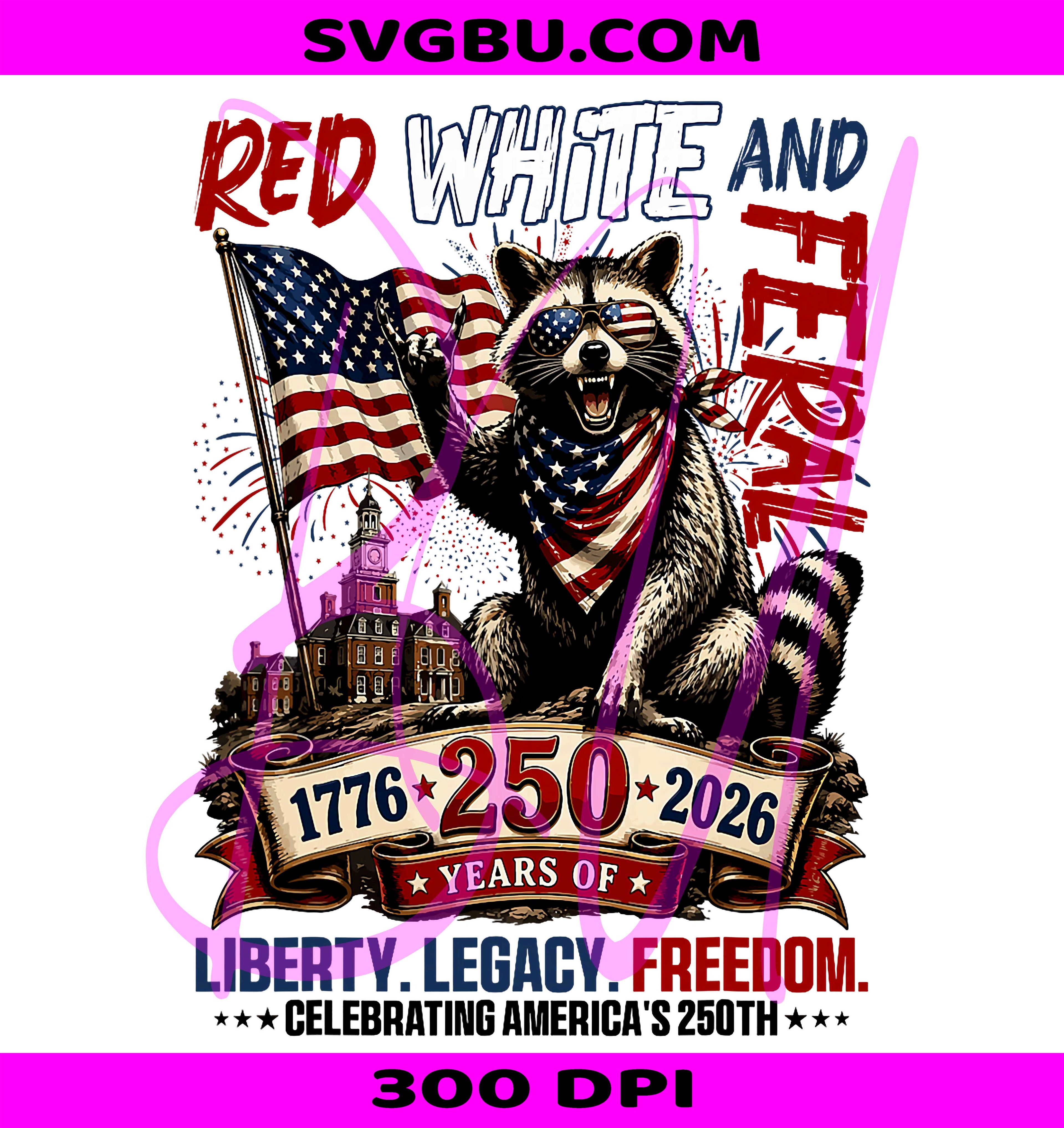 Red White And Feral America 250 Years PNG, Celebrating America's 250th Raccoon PNG