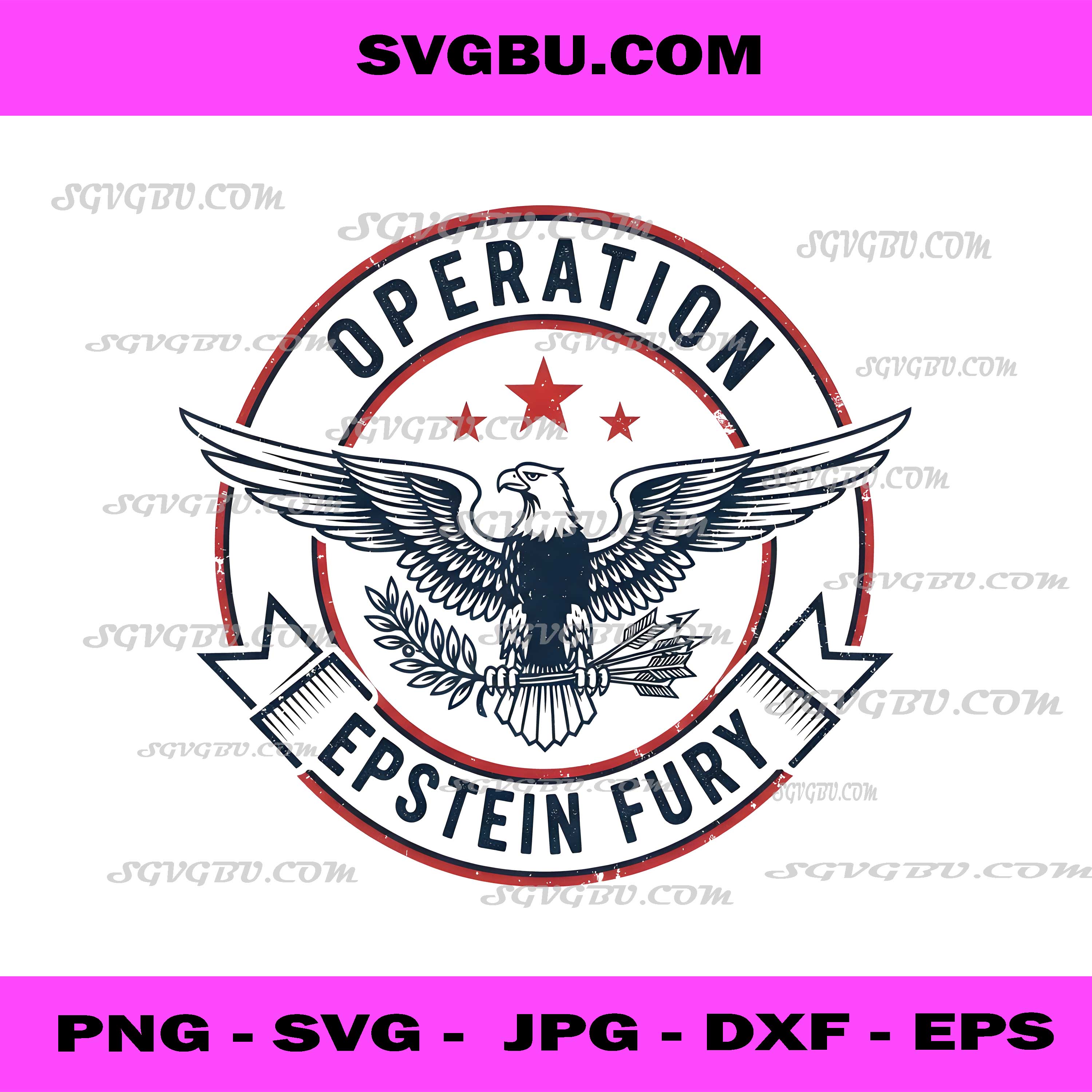 Operation Epstein Fury Eagle Vintage Badge PNG, Patriot PNG