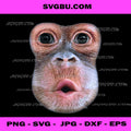 Funny Monkey Blowing Stomach Face PNG, Monkey Blow Stomach Face PNG