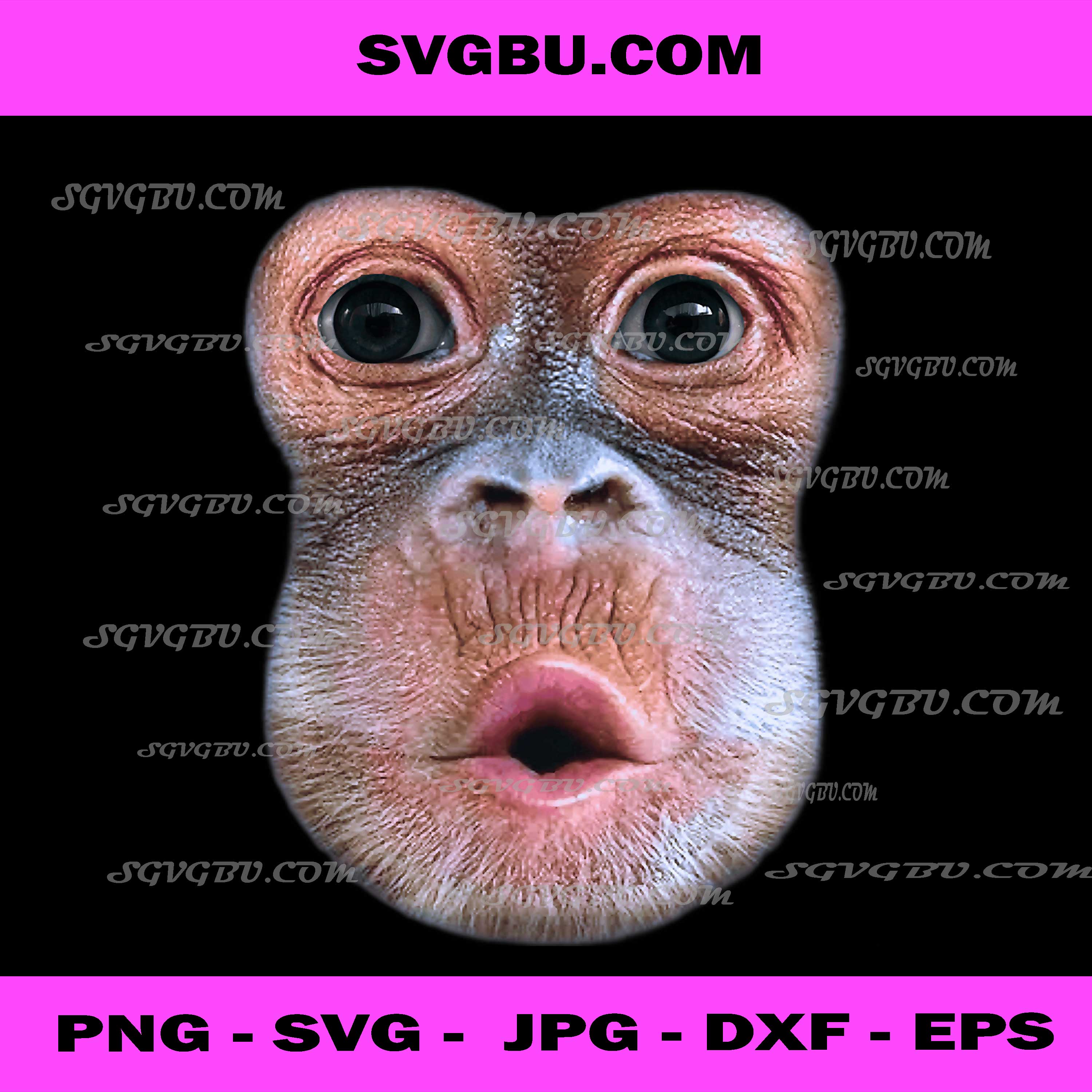 Funny Monkey Blowing Stomach Face PNG, Monkey Blow Stomach Face PNG