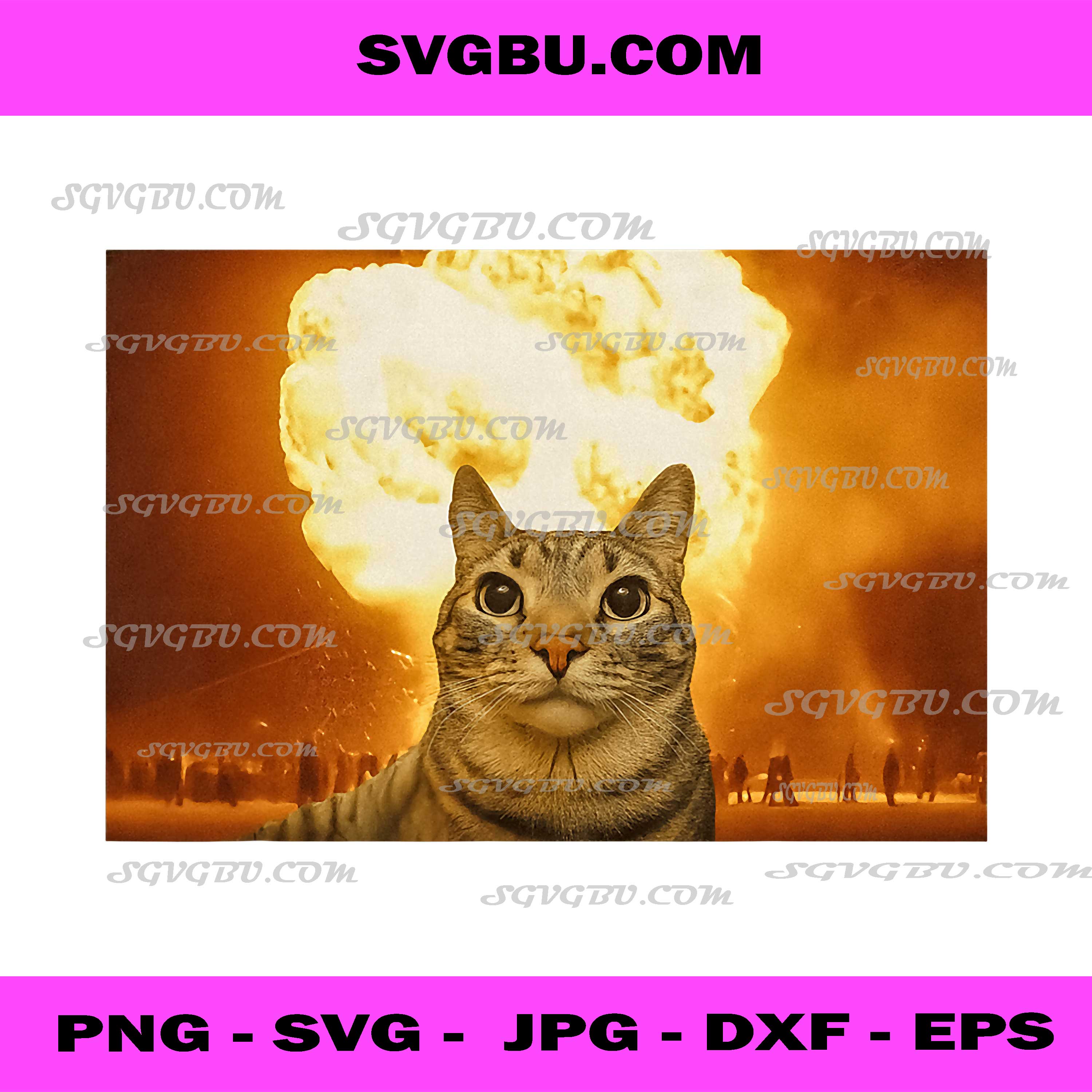 Funny Cat Explosion Meme PNG, Brain Rot Humor Design