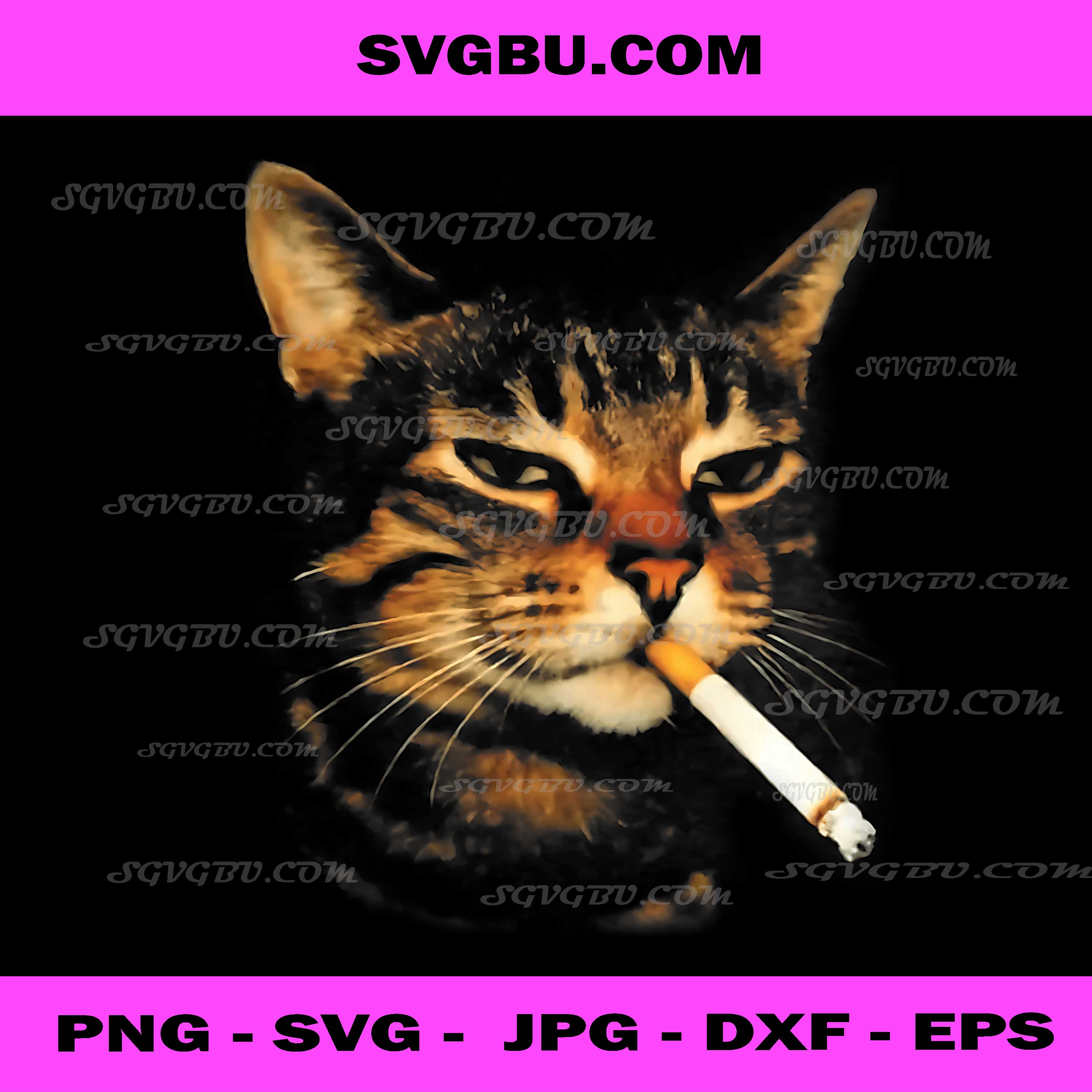 Funny Smoking Cat PNG, Cigarette Kitten Meme Stupid Brainrot PNG