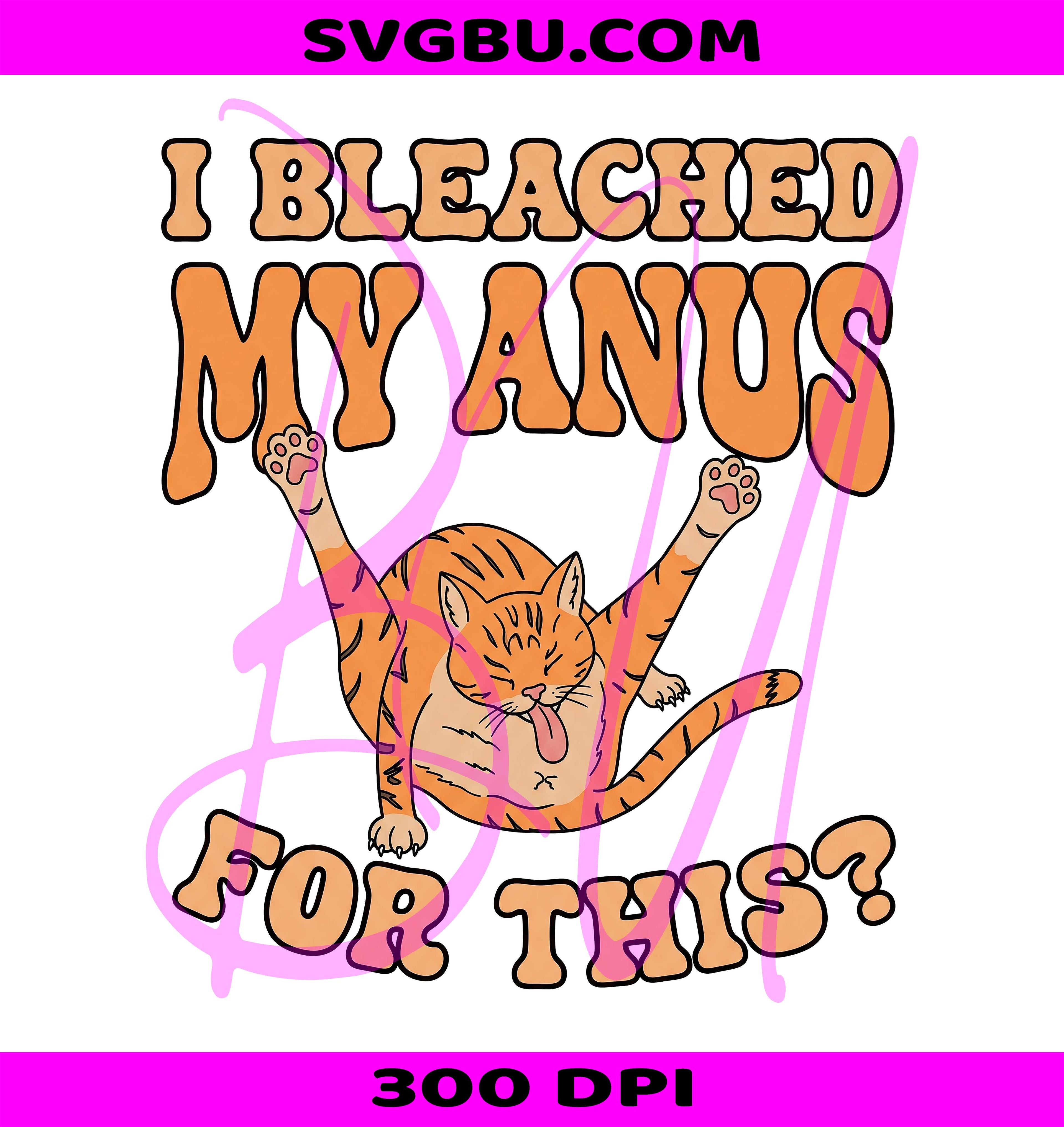 I Bleached My Anus For This PNG, Funny Cat PNG, Adult Humor PNG