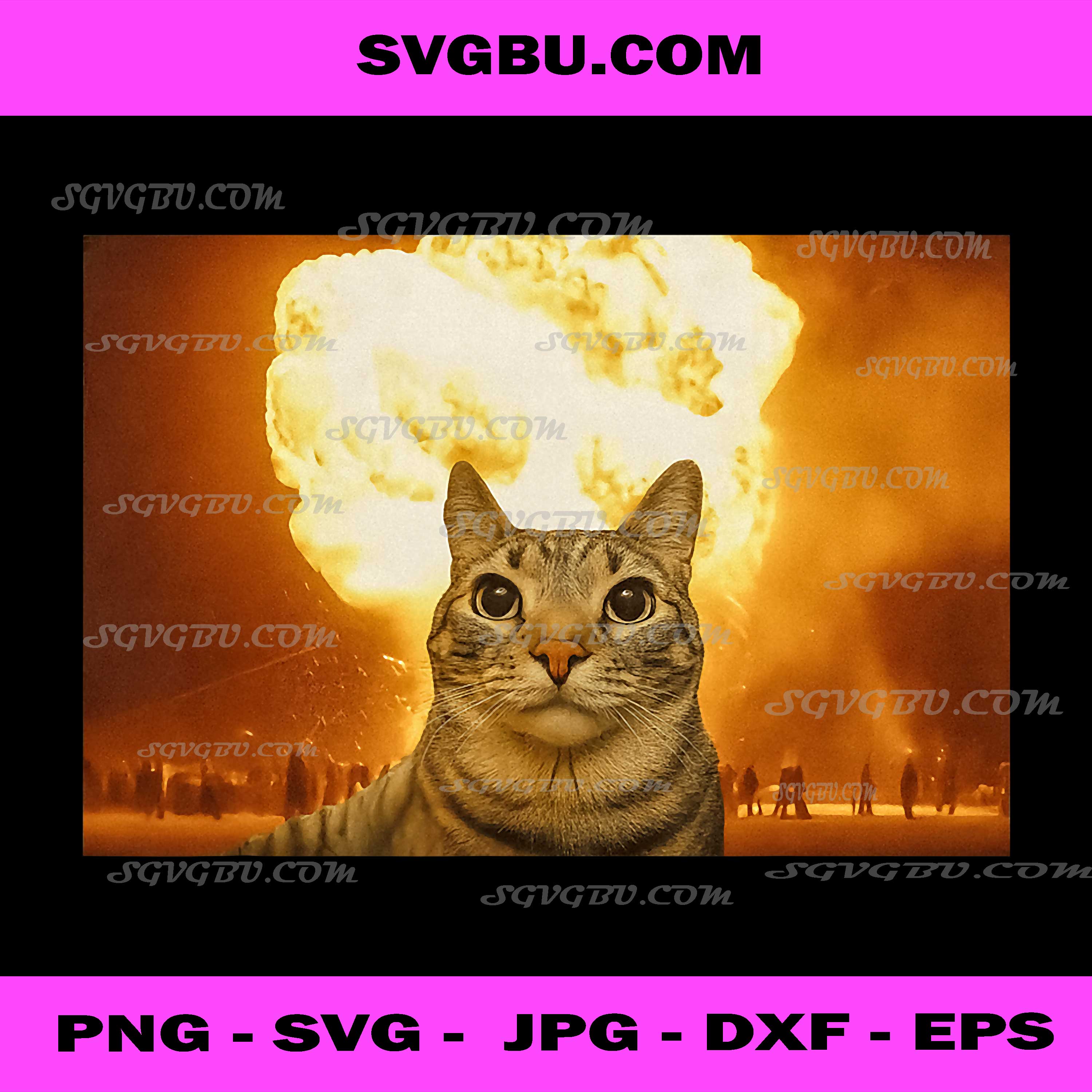 Funny exploding cat PNG, brain rot meme PNG, chaotic humor PNG
