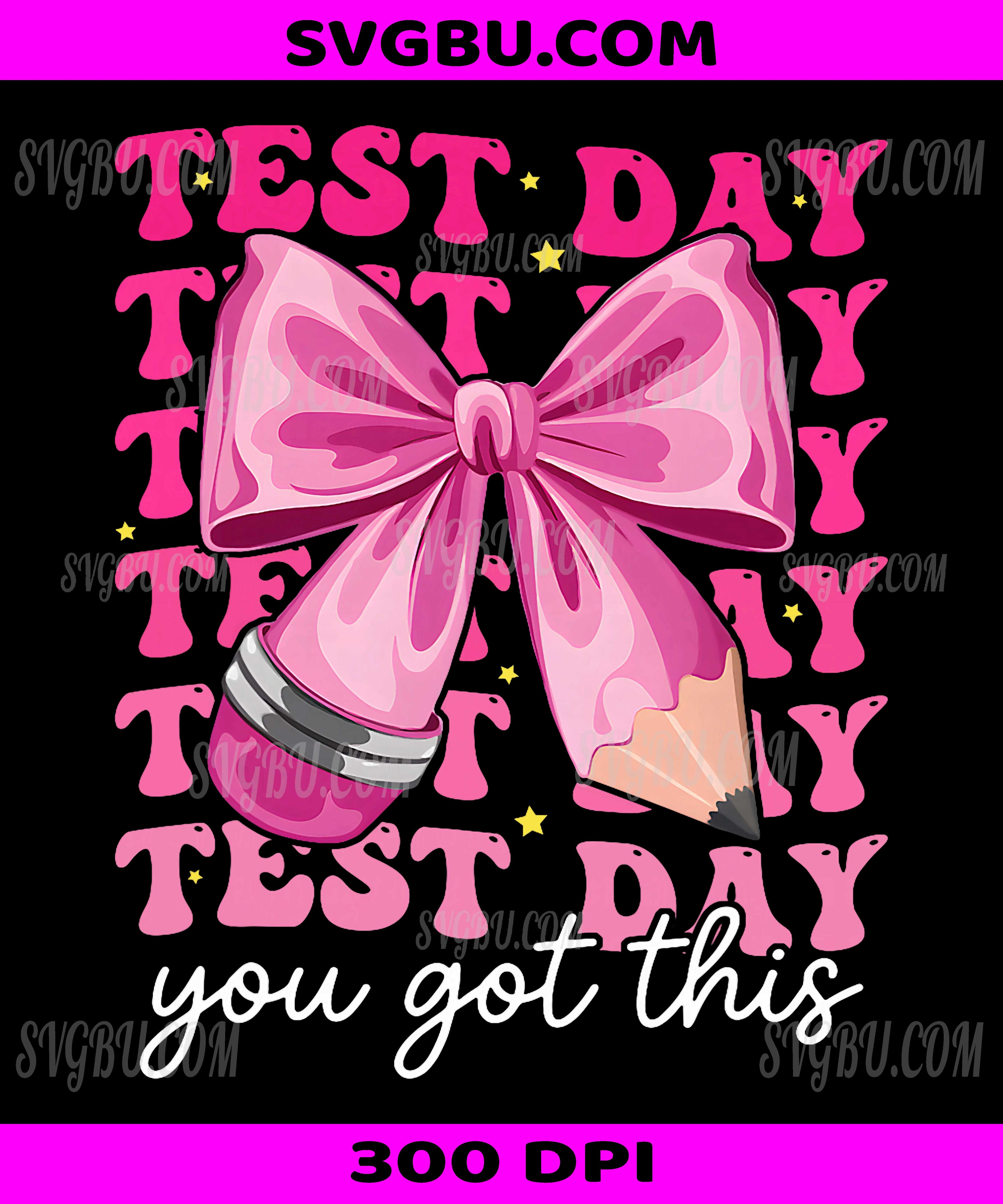 Test Day You Got This Coquette Bow, Pink Ribbon Motivation Testing Day PNG