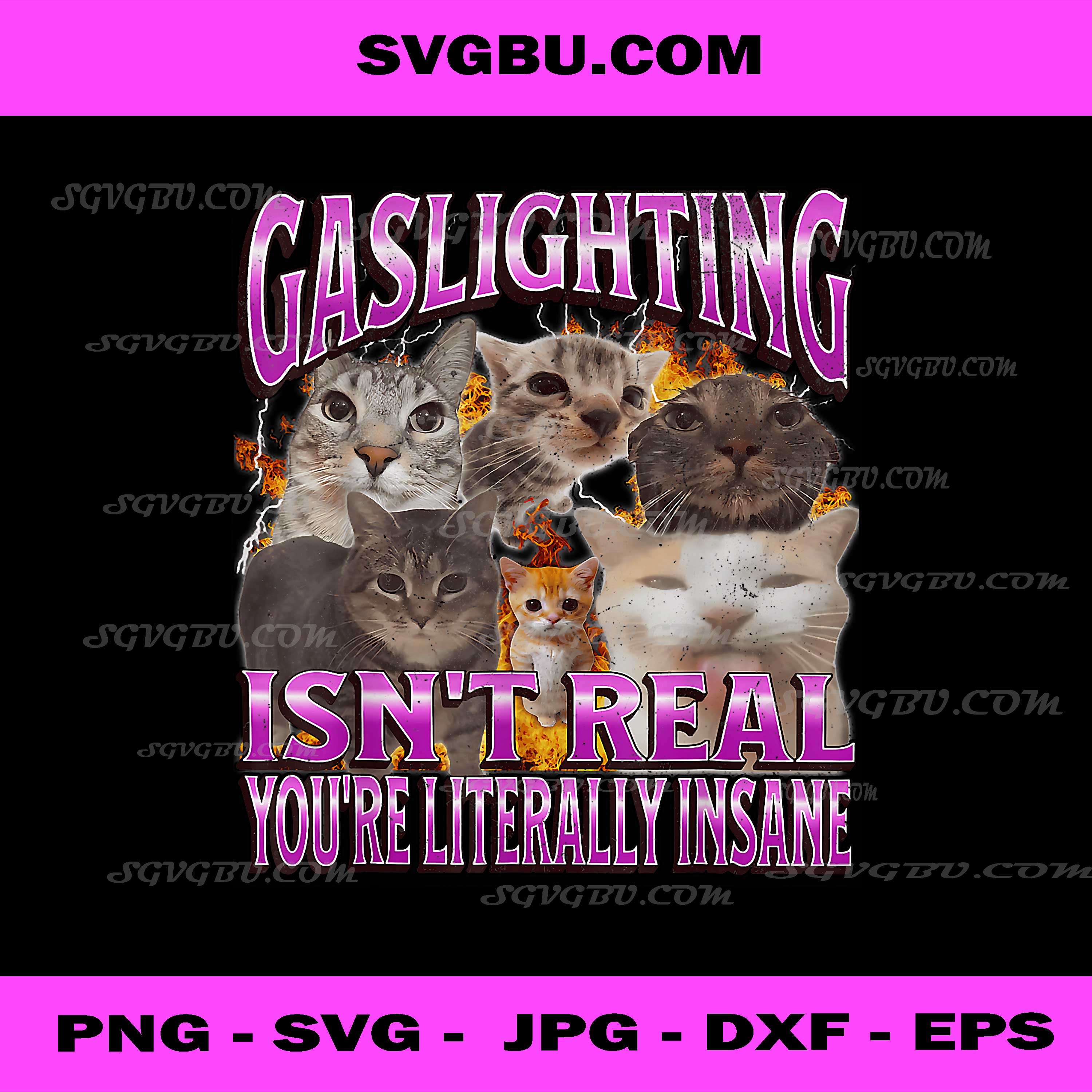 Gaslighting Isn't Real PNG, Funny Cat Meme Bootleg Graphic PNG