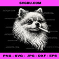 Pomeranian Dog Smoking Cigarette PNG, Funny Dog Portrait Art PNG