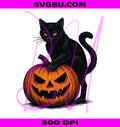 Black Cat Pumpkin PNG, Spooky Halloween Cat PNG, Gothic Jack O Lantern PNG
