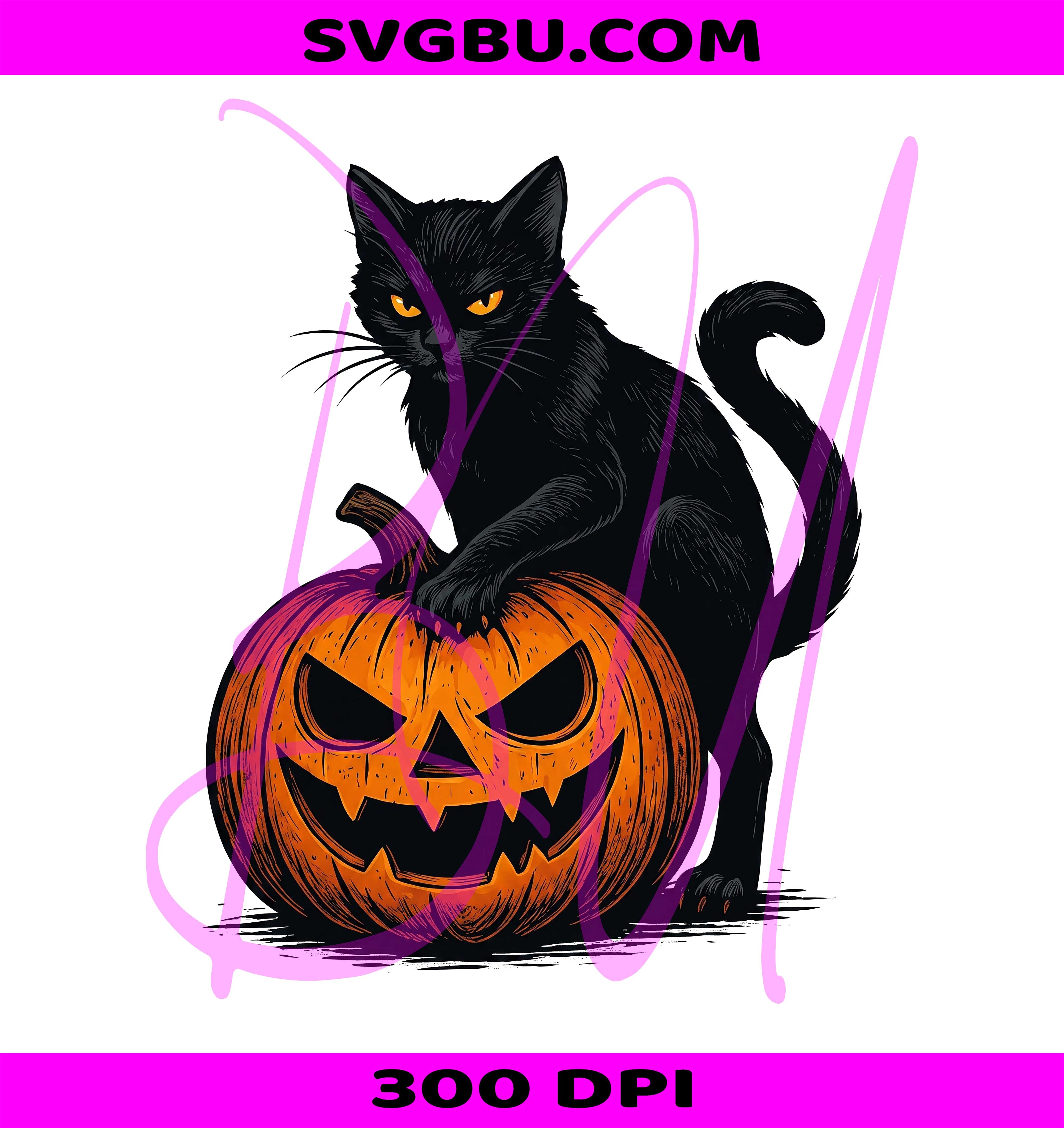 Black Cat Pumpkin PNG, Spooky Halloween Cat PNG, Gothic Jack O Lantern PNG
