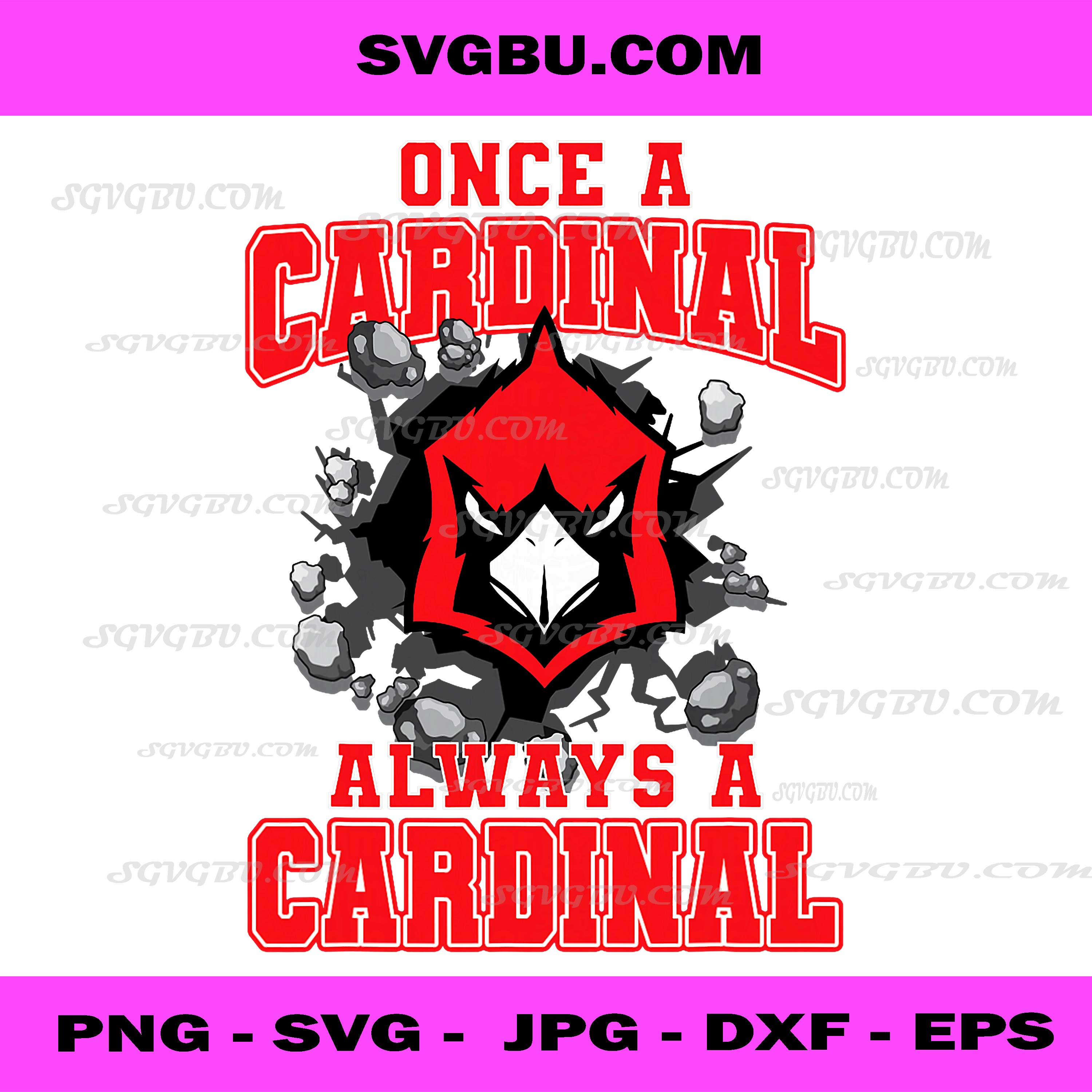 Always A Cardinal Back to School Spirit R PNG