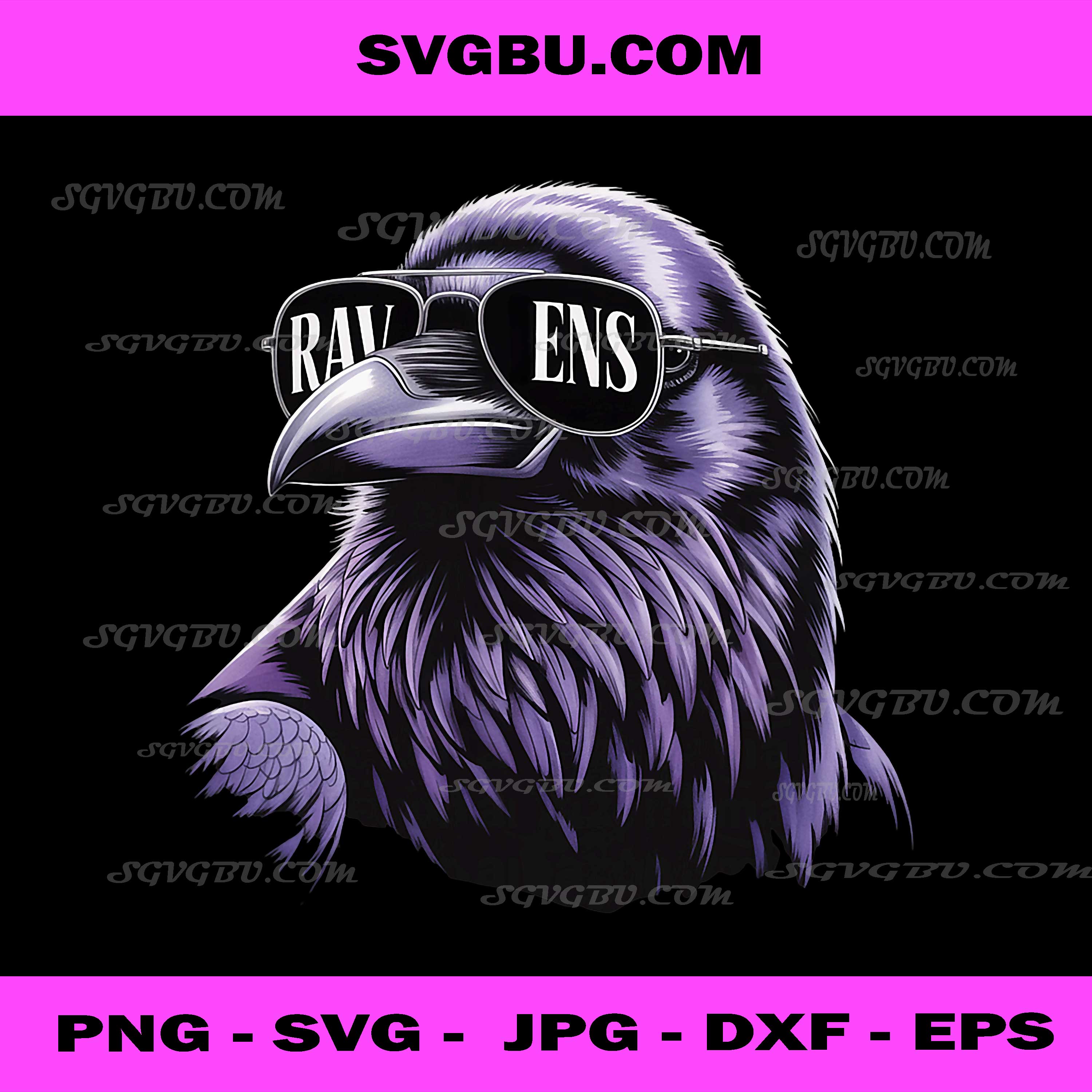 Cool Face Raven with Sunglasses PNG, Maryland Pride PNG