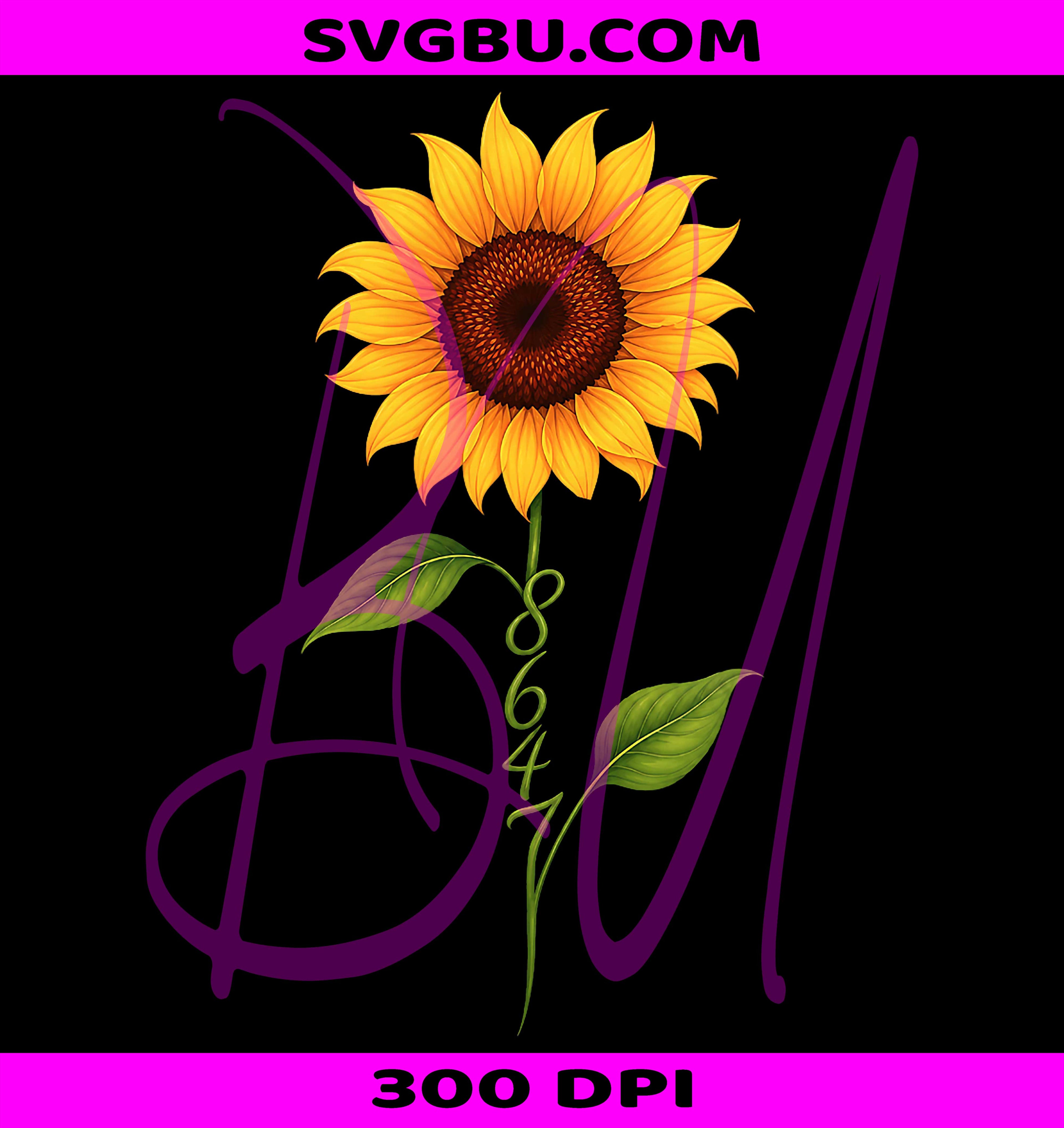 Retro Vintage 86 47 Floral PNG, 8647 Graphic Design PNG