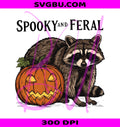 Spooky Raccoon PNG, Halloween Raccoon PNG, Funny Animal PNG