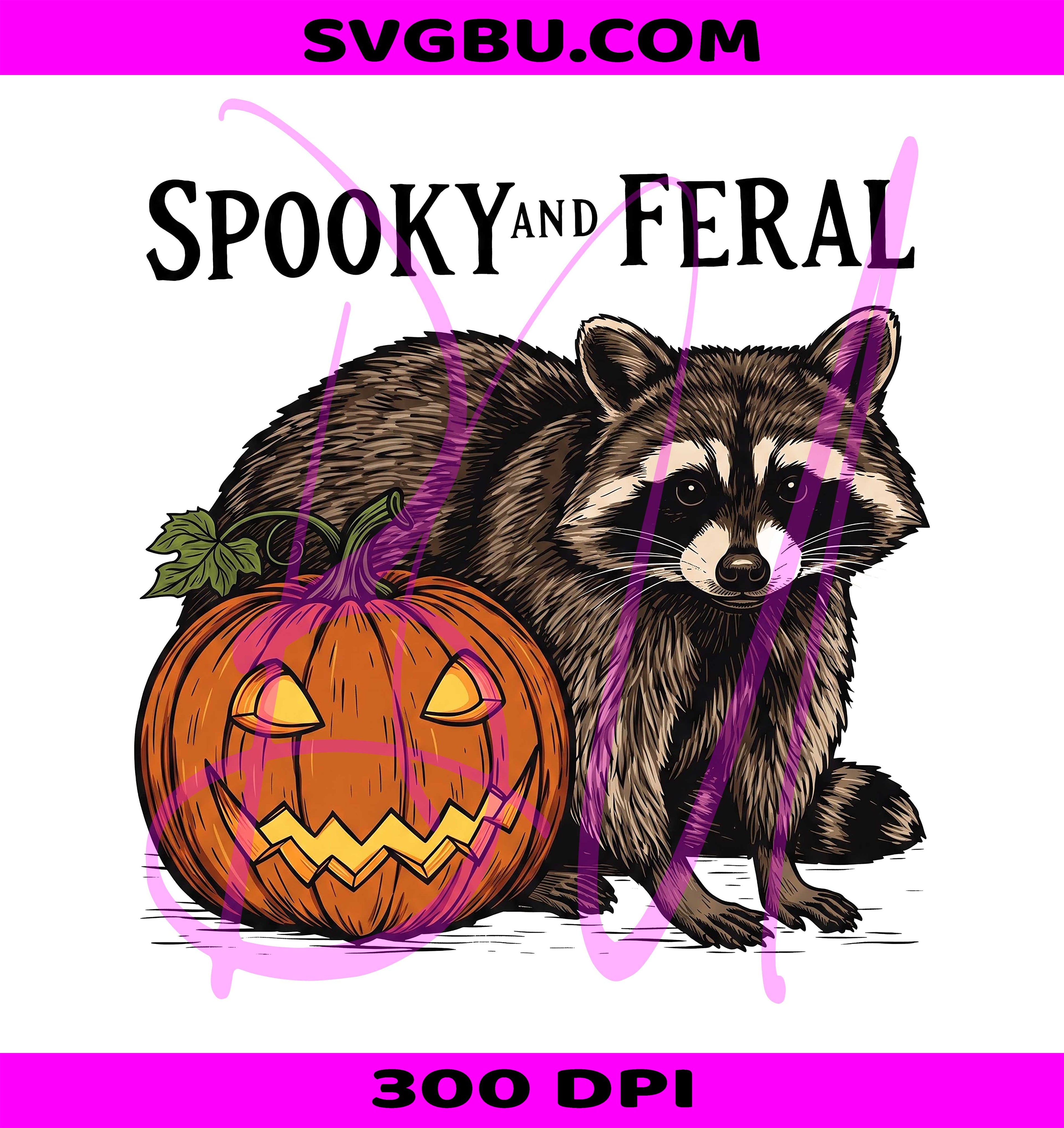 Spooky Raccoon PNG, Halloween Raccoon PNG, Funny Animal PNG