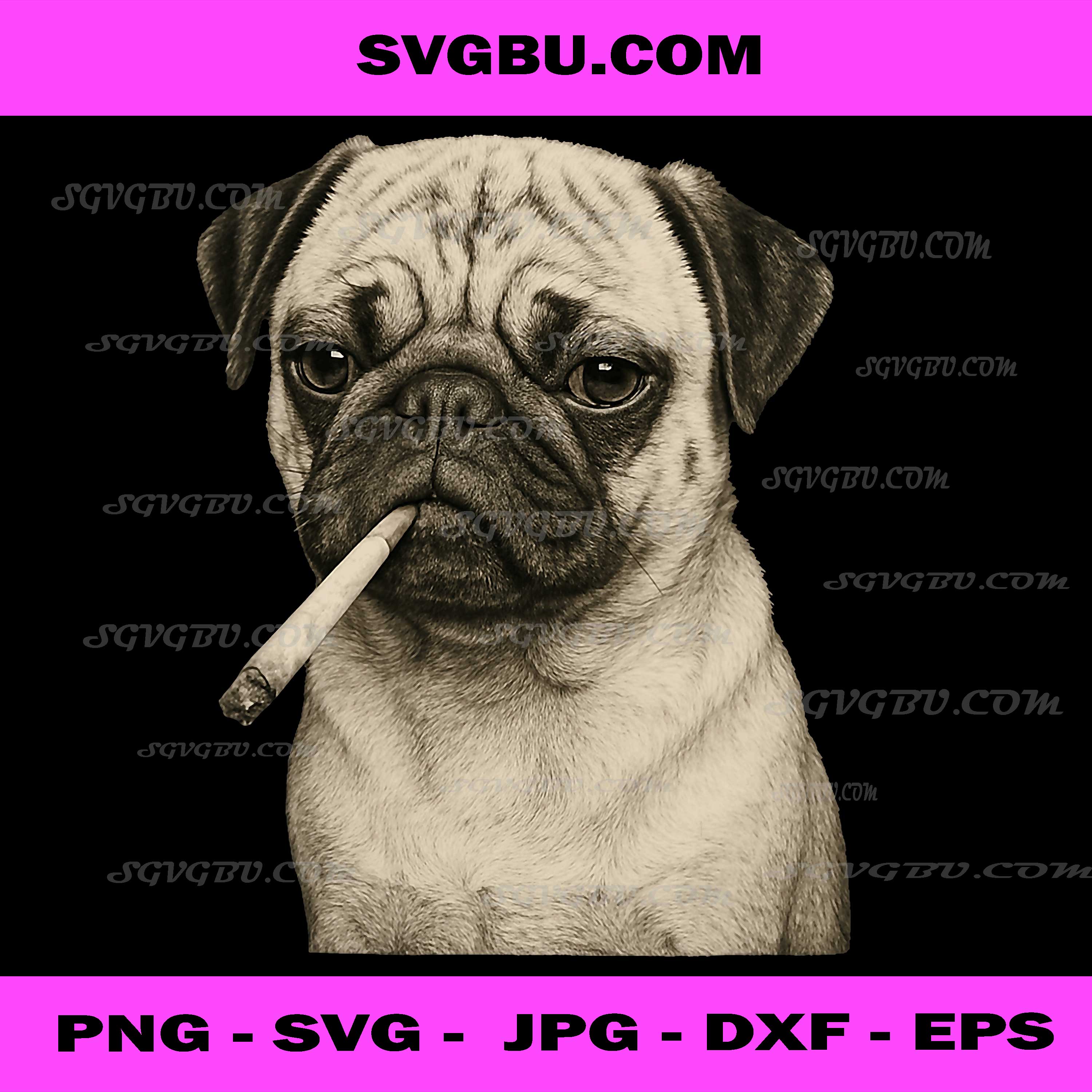Funny Smoking Pug Dog PNG, Cigarette Gen Z Meme PNG