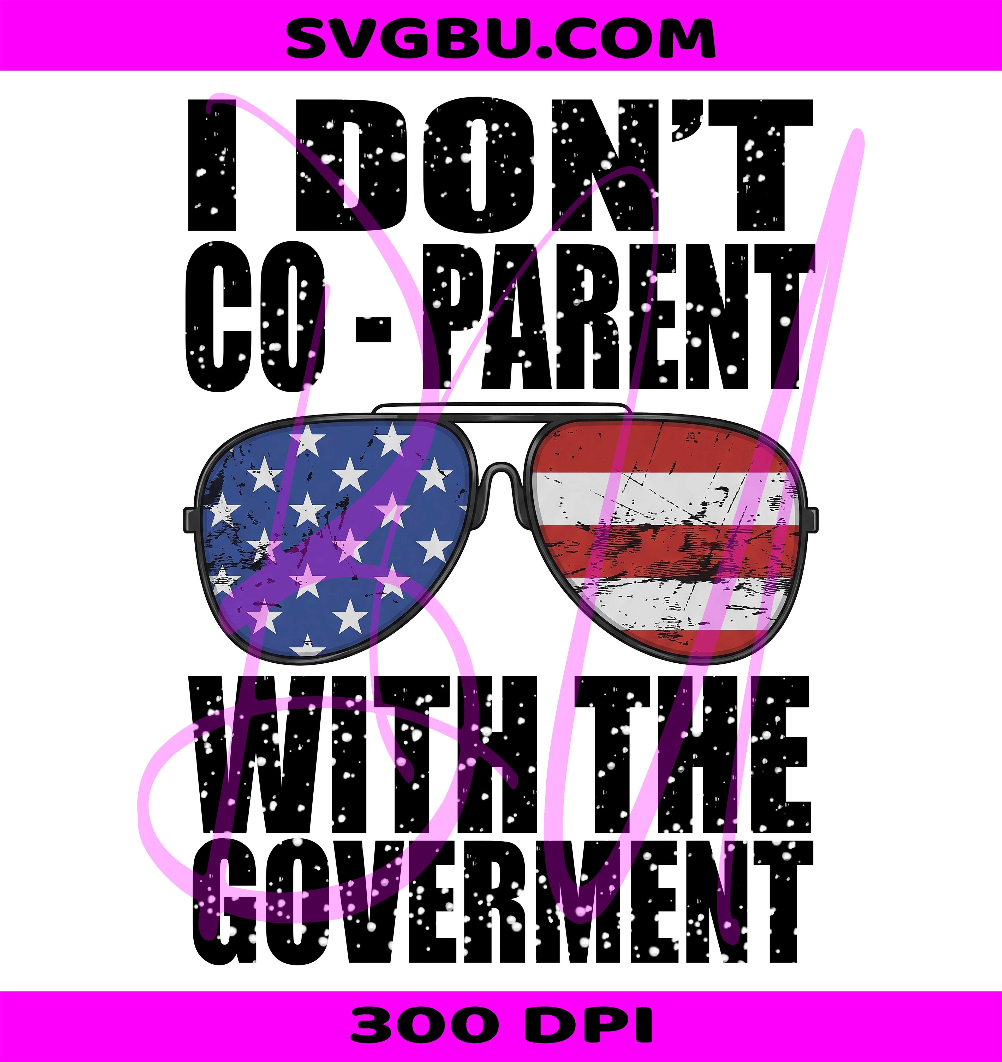 CoParent Government PNG, Freedom Family PNG, American Flag PNG