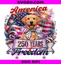 Yellow Labrador Patriotic PNG, America 250 Dog PNG, 4th Of July Labrador PNG