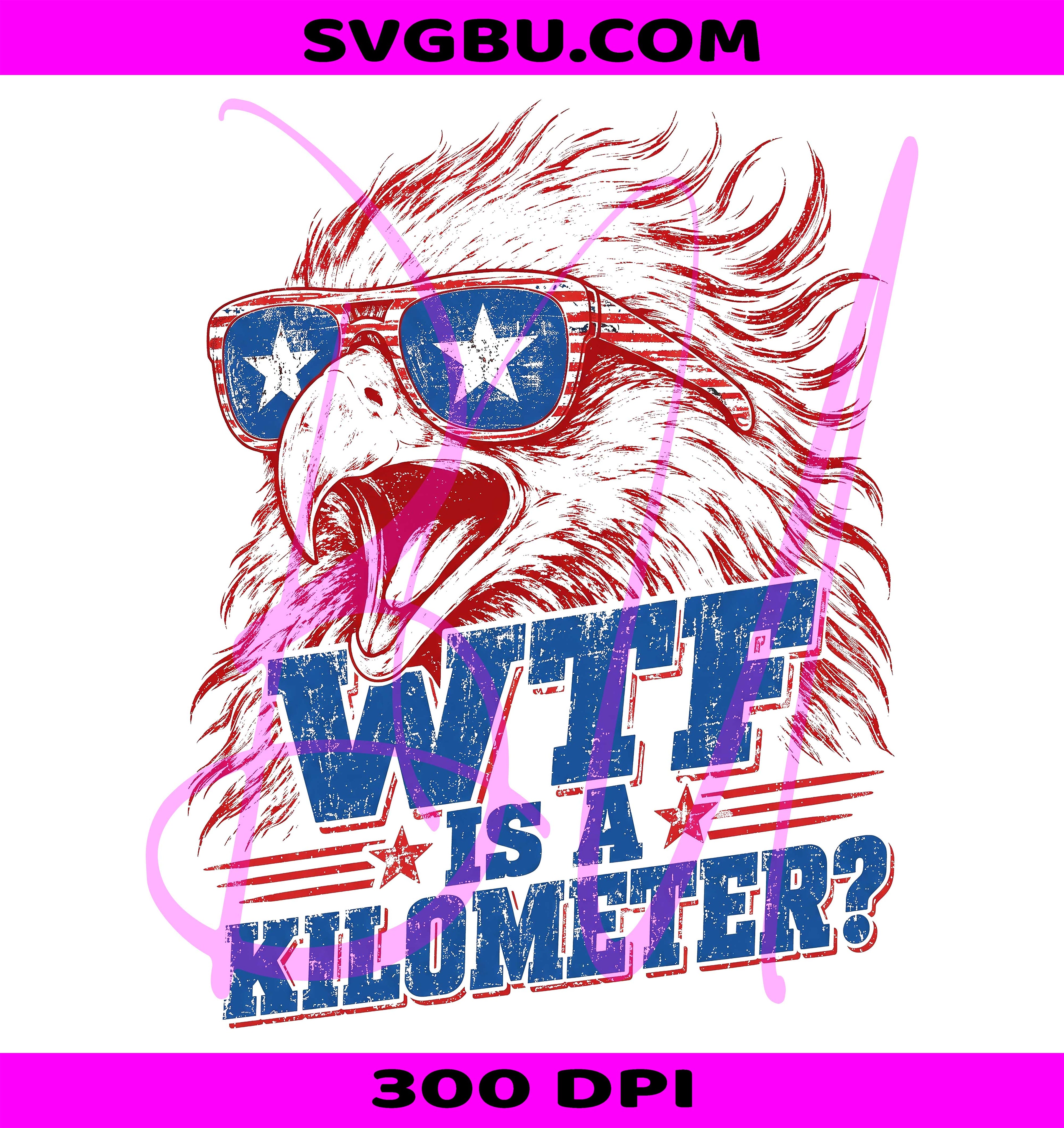 WTF Is A Kilometer PNG, Funny Patriotic Eagle PNG, Sarcastic USA 4th Of July PNG