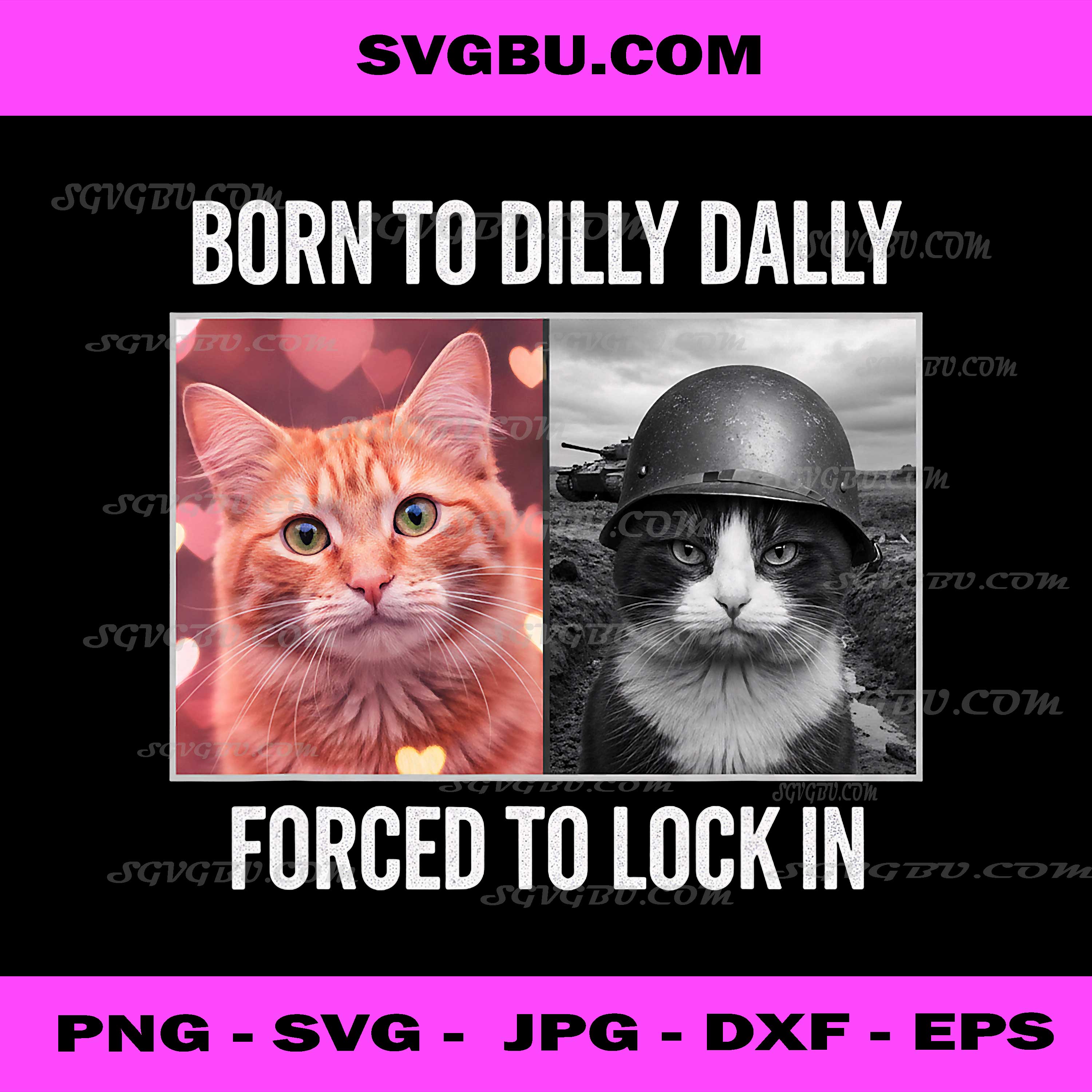 Born to Dilly Dally Forced to Lock in Cat Meme, Funny Cat Lover PNG