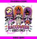 Raccoween PNG, Halloween Raccoon PNG, Raccoon PNG