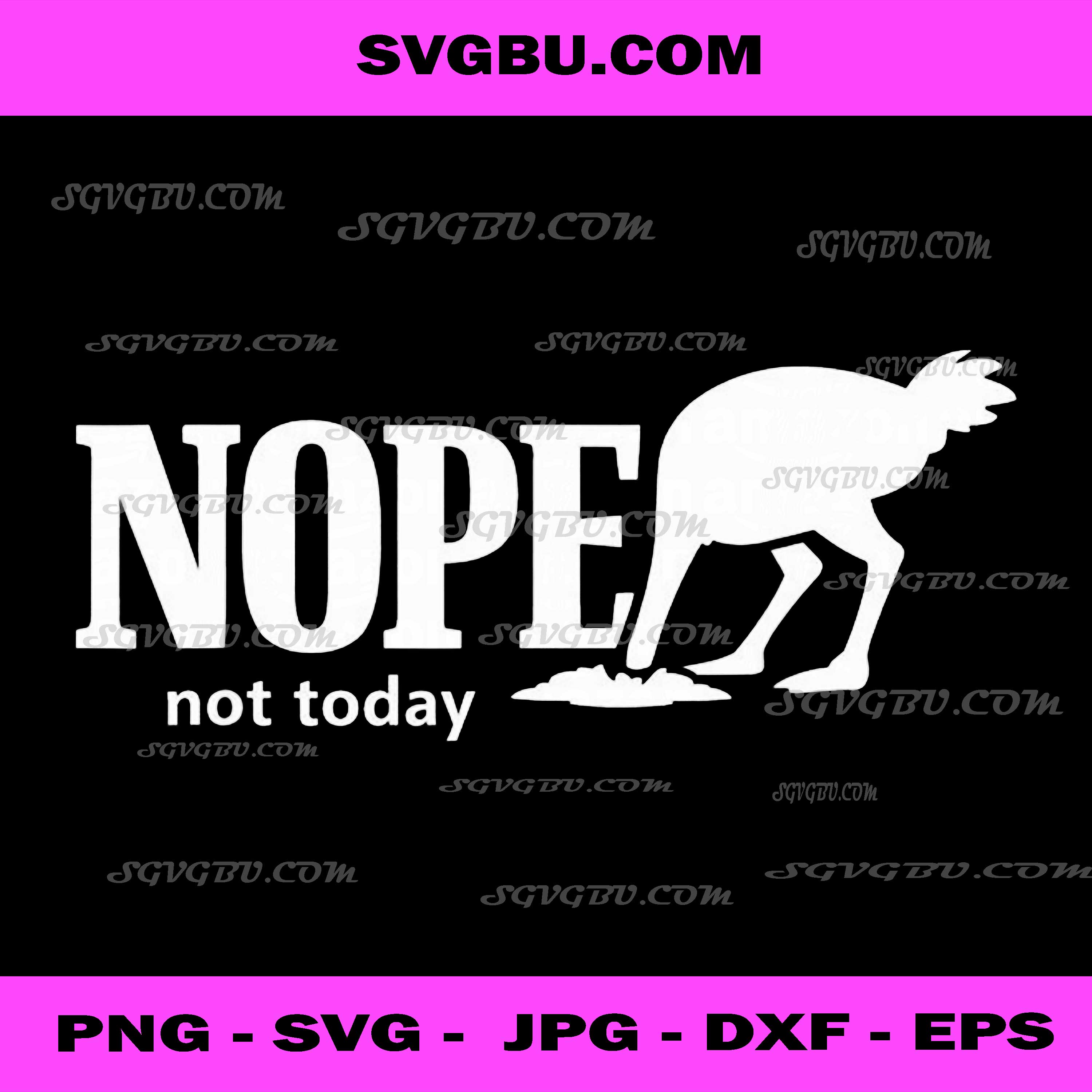 Nope Not Today Ostrich PNG, Funny Animal PNG, Sarcastic Bird Art PNG