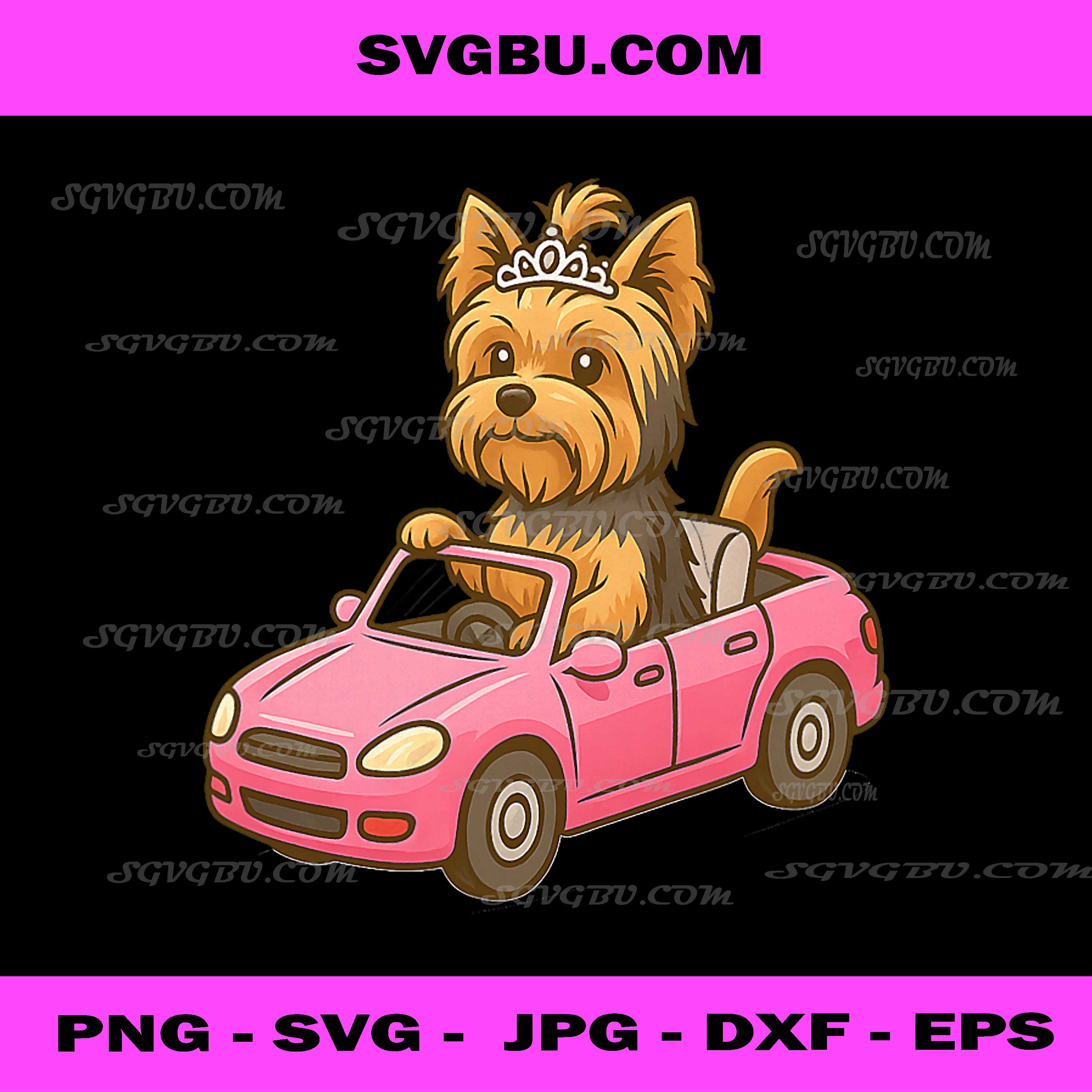 Yorkie PNG, Yorkshire Terrier Driving Toy Car Funny Dog PNG