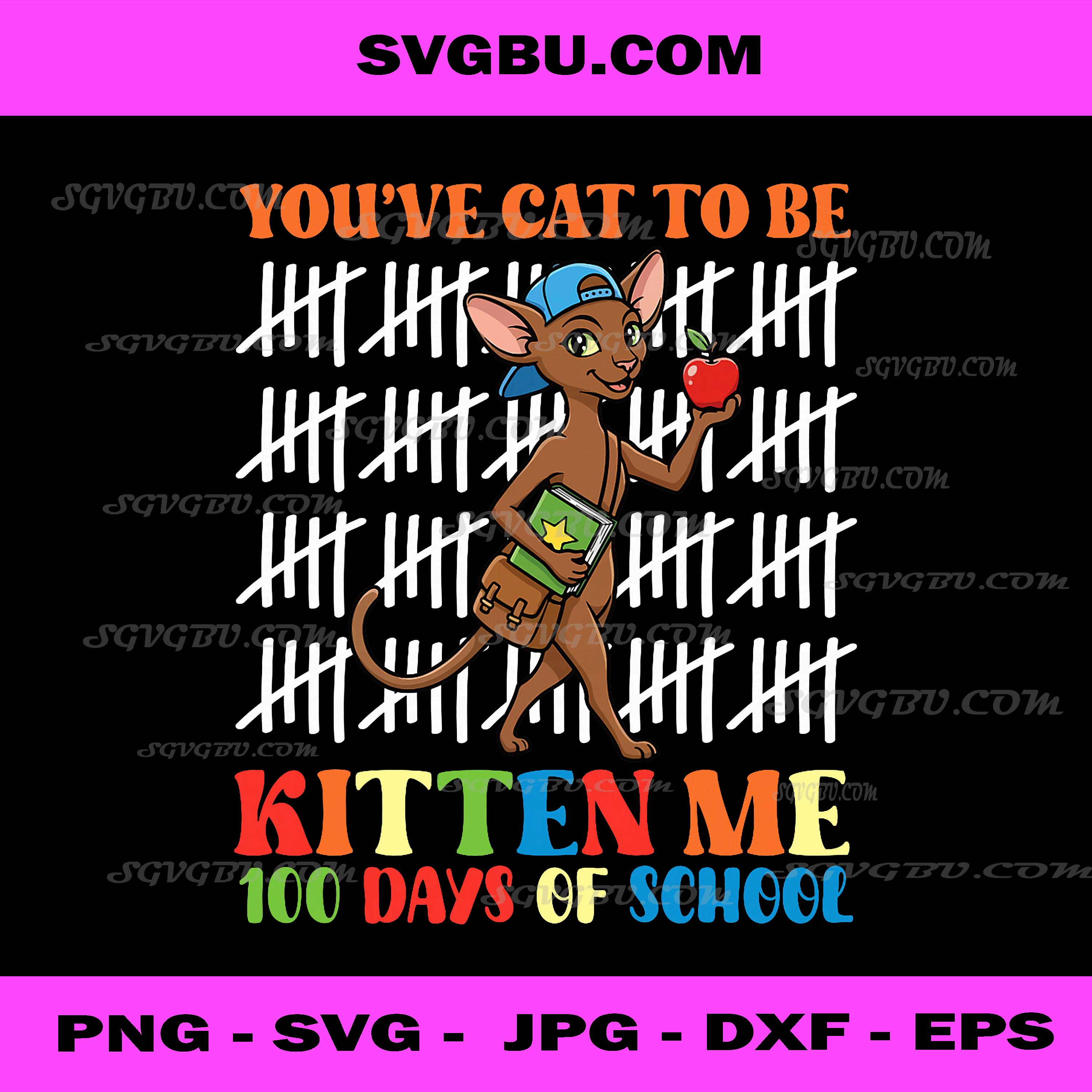 You Have Oriental Cat to Be Kitten Me 100 Days of School PNG
