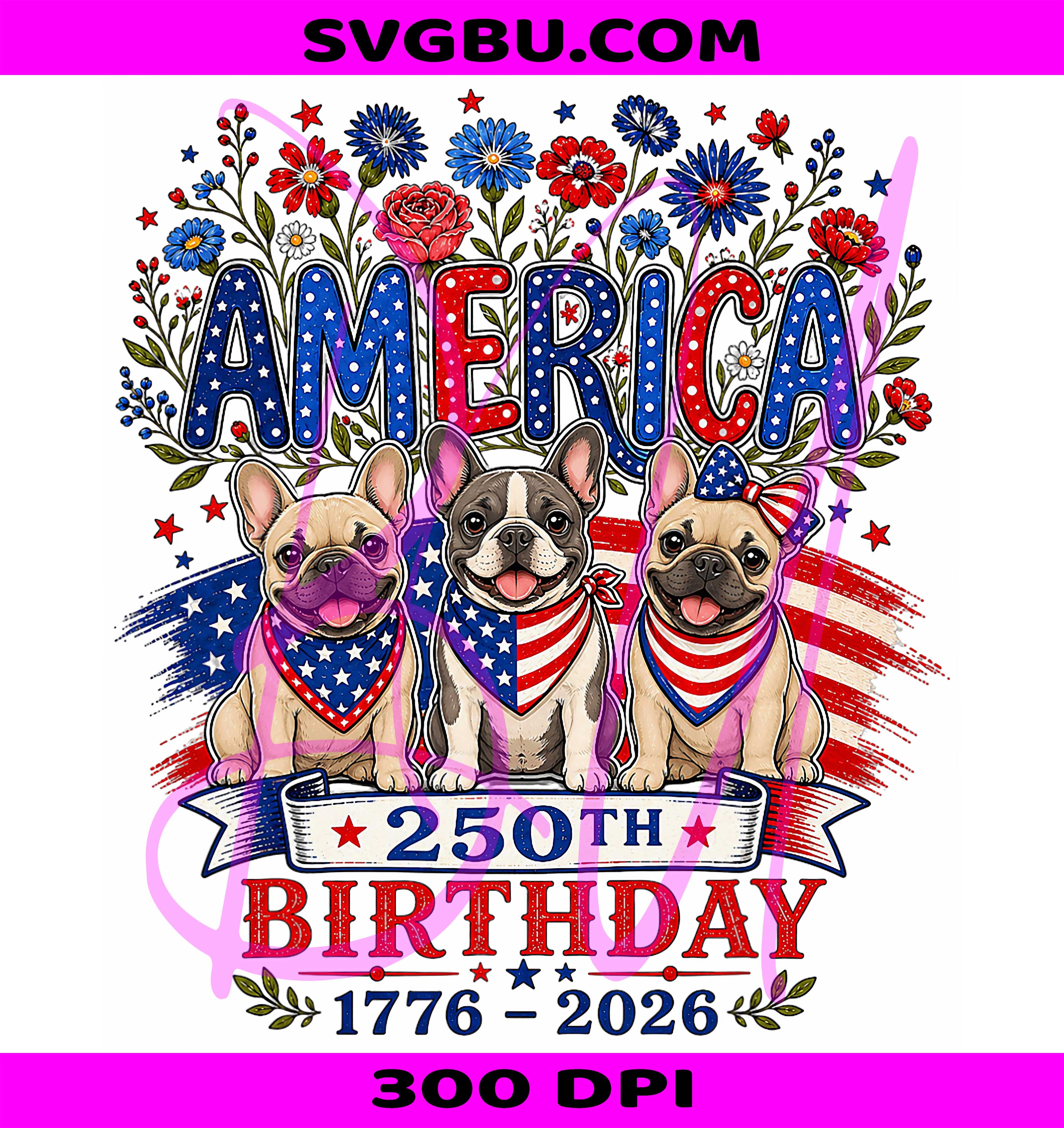 Patriotic French Bulldog PNG, 4th Of July PNG, 250 Years USA PNG