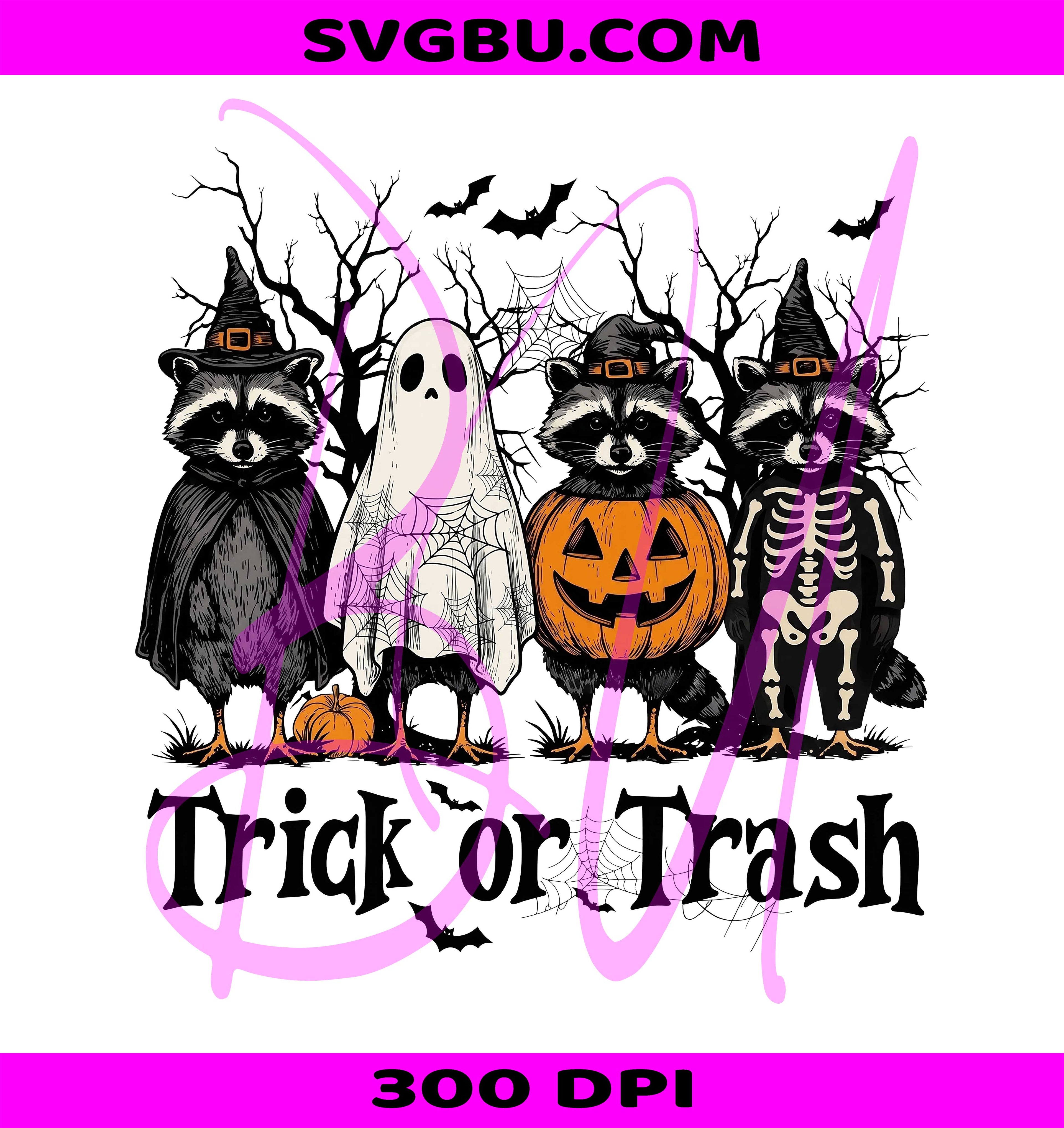 Feral Boo Raccoon PNG, Skeleton Pumpkin Raccoon PNG, Trick Or Treat Halloween PNG